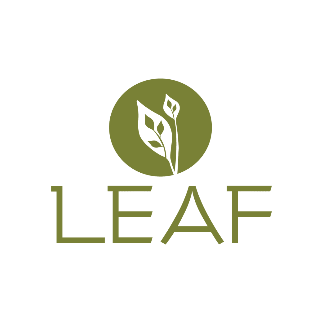 Leaf Spas Brickell Miami and Chicago