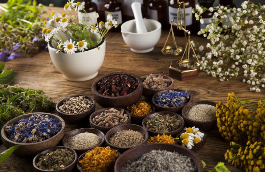 Embracing Nature: The Therapeutic Power of Herbs, Teas, and Plants in Spa Treatments