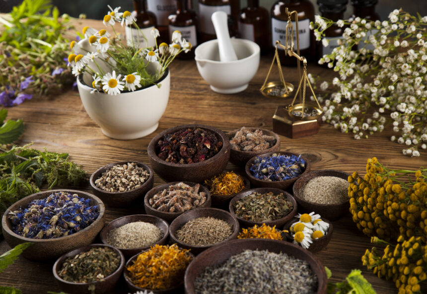 Embracing Nature: The Therapeutic Power of Herbs, Teas, and Plants in Spa Treatments